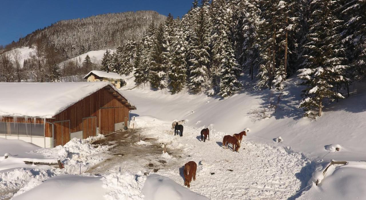 Saumerhof Schladming Dış mekan fotoğraf