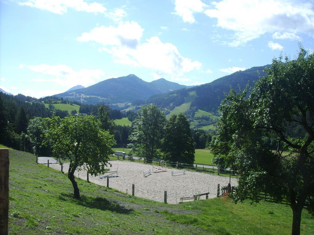 Saumerhof Schladming Dış mekan fotoğraf