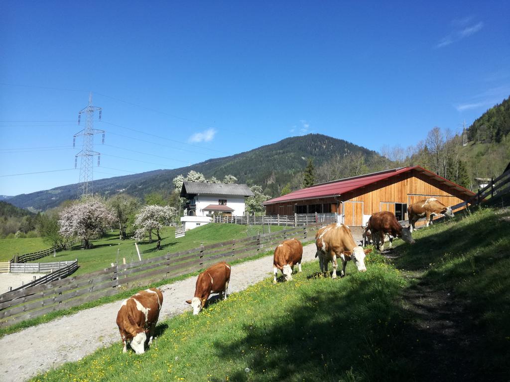 Saumerhof Schladming Dış mekan fotoğraf