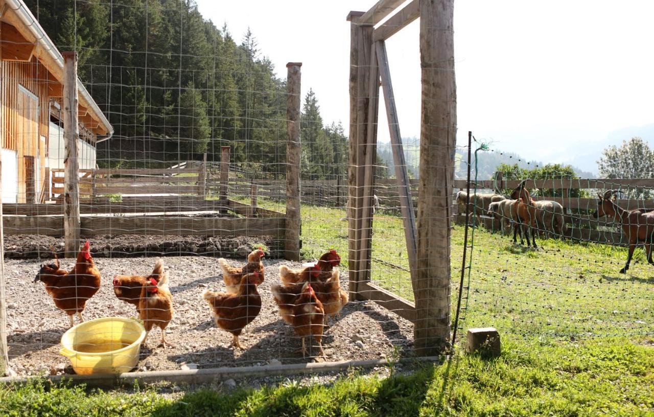 Saumerhof Schladming Dış mekan fotoğraf
